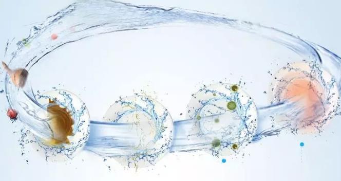 酒店洗碗機 酒店洗碗機